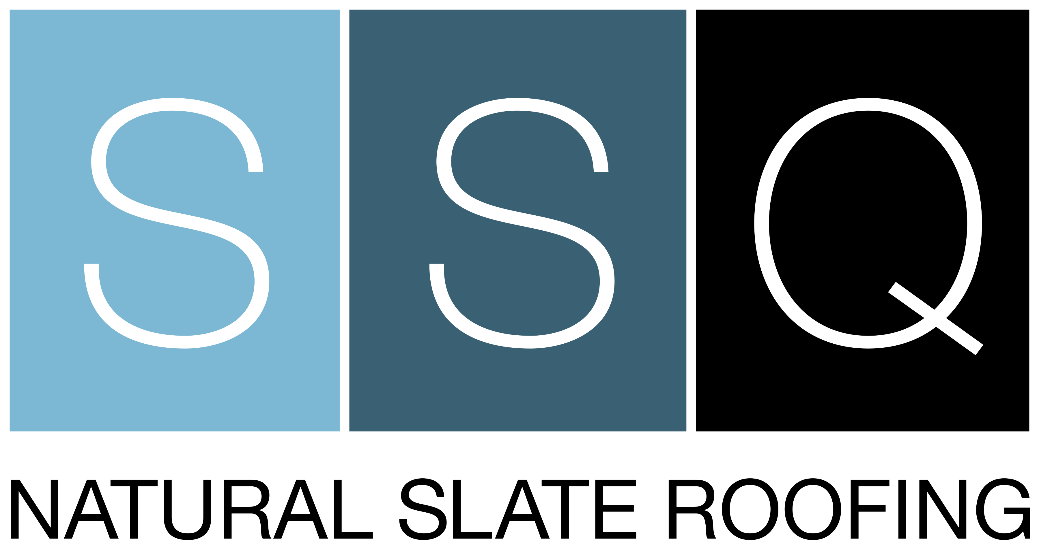 SSQ logo